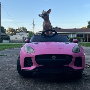 Meet your Posher, Phallie